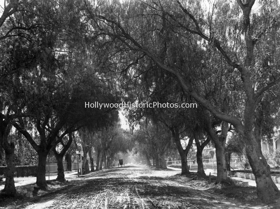 Pasadena 1896 Marengo Avenue.jpg